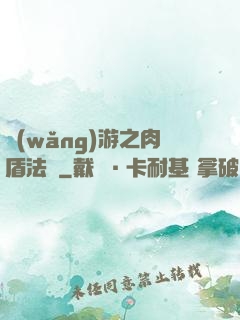 網(wǎng)游之肉盾法師